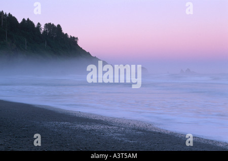 Première plage, plage no 1, Pazific Coast dans la lumière du matin, USA, Washington, Olympic NP Banque D'Images