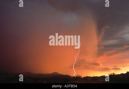 Un seul boulon éclairage mène une tempête de mousson comme il roule à travers le désert au sud de l'Arizona Banque D'Images