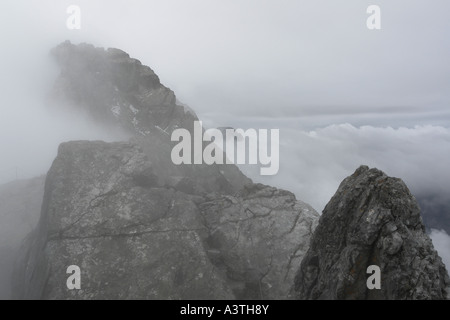 Vue brumeuse de Watzmann/Hocheck à Mittelspitze, Bavière, Allemagne Banque D'Images