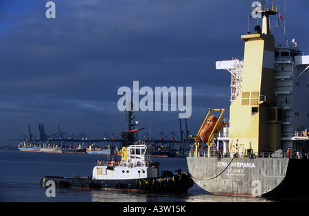 Le LEF Hispania navire accostant à Landguard terminal, port de Felixstowe, Suffolk, UK. Banque D'Images