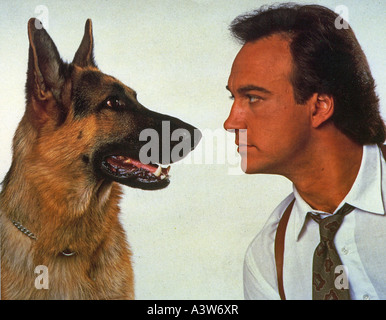 K-9 1988 UIP film avec James Belushi Banque D'Images