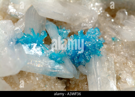 Minéral Bleu Cavansite, rosettes de cristaux cavansite sur stilbite Carrières Wagholi, cristaux, Poona, Inde Banque D'Images