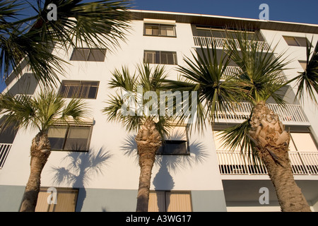 Palmiers casting shadows sur les appartements qui donnent sur le golfe du Mexique. Indian Shores, plages de la baie de Tampa, Floride USA Banque D'Images