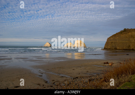 Passage de trois rochers NWR, littoral, Oregon Banque D'Images