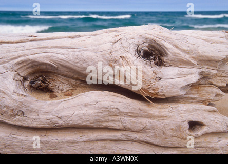 Un journal de bois flotté sur la plage et le lac Supérieur Twelvemile vagues dans Pictured Rocks National Lakeshore près de Grand Marais Mich Banque D'Images