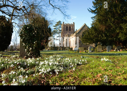 Perce-neige dans l'église de St Mary's Church, Burford, Shropshire, Angleterre. Banque D'Images