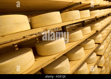 La fabrication du fromage industriel rayonnage Commercial avec le vieillissement du fromage. Banque D'Images