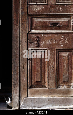 Jeune chaton caché dans porte dans la vieille Havane Cuba Antilles Banque D'Images
