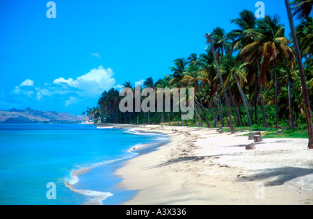 Pinneys Beach Nevis St Kitts et Nevis Banque D'Images