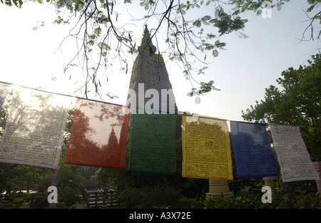 Berceau du Bouddhisme Bodhgaya en Inde du Temple de la Mahabodhi Bruce Miller photo religion arbre de Bodhi Bouddha Banque D'Images