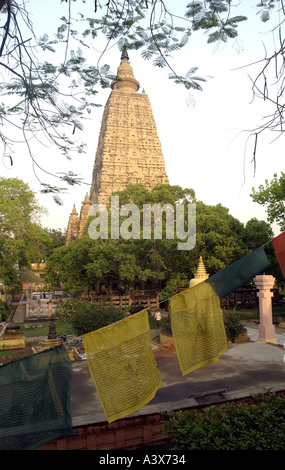 Bodhgaya, en Inde, berceau du bouddhisme, du Temple de la Mahabodhi, l'arbre de la Bodhi photos par Bruce Miller Banque D'Images