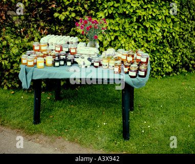 Des confitures et conserves conserves oeufs Miel à vendre dans le Lincolnshire Wolds Banque D'Images