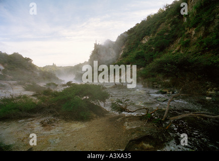 Flux chaud, volcan de Waimangu Valley, South Island, New Zealand Banque D'Images