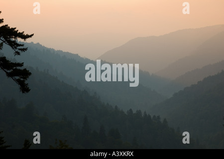 Le coucher du soleil, parc national des Great Smoky Mountains, New York Banque D'Images