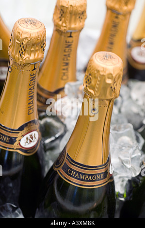 Des bouteilles de champagne dans un seau à glace PRÊT POUR UNE FÊTE Banque D'Images