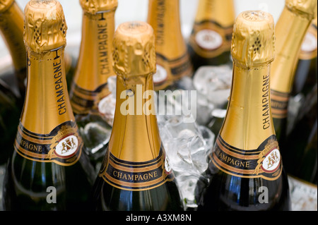 Des bouteilles de champagne dans un seau à glace PRÊT POUR UNE CÉLÉBRATION Banque D'Images