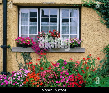 Le comté de Limerick, Irlande : fenêtre avec les boîtes à fleurs et jardins dans le village d'Adare Banque D'Images