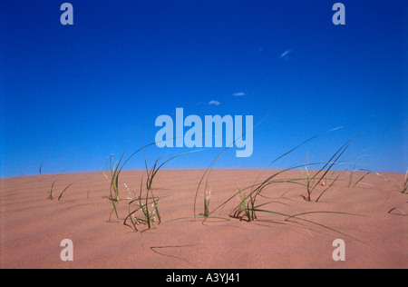 Désert de dunes de sable à l'ouest de l'Argentine dans la province de San Juan Banque D'Images