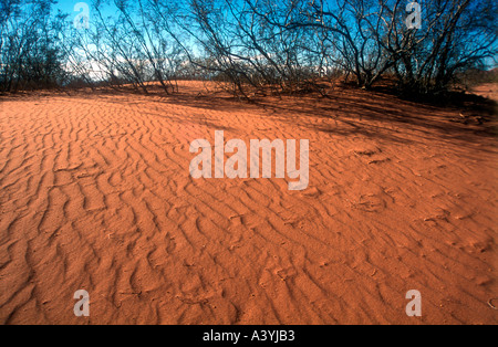 L'intérieur d'un canyon Talampaya sandunes monte au désert dans l'ouest de l'Argentine Banque D'Images