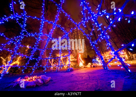 Cherchez le Noël des jardins lumières LED display à Wheaton MD près de Washington DC USA. À la recherche d'un voyant bleu igloo. Banque D'Images