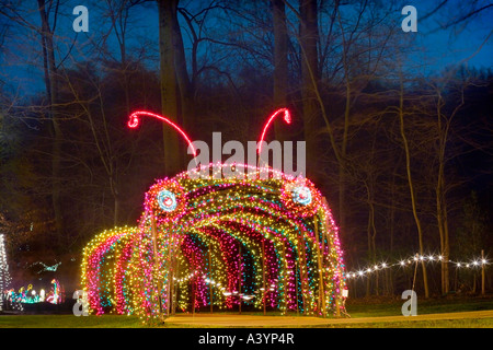 Brookside Gardens lumières de Noël afficher Wheaton MD près de Washington DC USA. Entrée du tunnel de Caterpillar. Banque D'Images