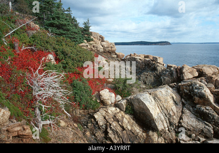 Paysage de la côte à l'automne, aux Etats-Unis, dans le Maine, l'Acadie NP Banque D'Images