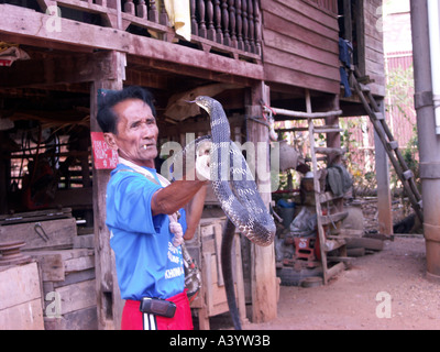 Bualeechai Cunjaimeangesan âgé de 64 ans porte son Roi Cobra à son domicile à Ban Kok Sa Nga au nord-est de la Thaïlande Banque D'Images