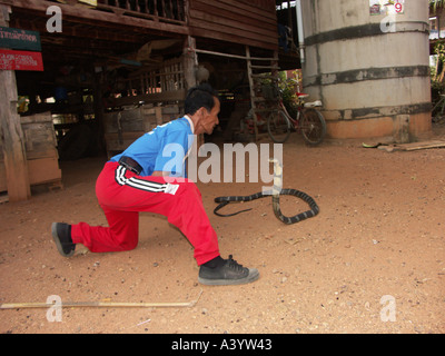 Bualeechai Cunjaimeangesan ont 64 ans un boxeur Thaï et son cobra cobra à leur domicile, à Ban Kok Sa Nga au nord-est de la Thaïlande Banque D'Images