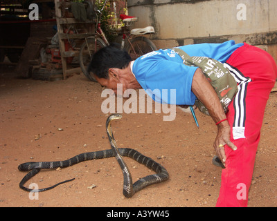 Bualeechai Cunjaimeangesan 64 boxer serpent se penche pour embrasser son cobra à leur domicile, à Ban Kok Sa Nga au nord-est de la Thaïlande Banque D'Images