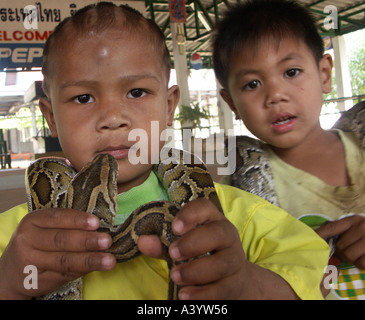 Trois ans Pird et Tya une nouvelle génération de boxeurs cobra sur scène à Ban Kok Sa Nga au nord-est de la Thaïlande Banque D'Images