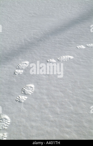 Une personne s'empreintes de pas dans la neige fraîche situé dans une forêt de la Nouvelle-Angleterre dans le New Hampshire USA Banque D'Images