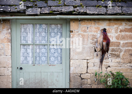 Faisans de raccrocher à l'extérieur d'une ferme, Gloucestershire, Royaume-Uni Banque D'Images