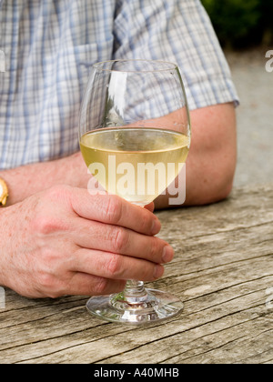 Vin blanc d'être aimé par un homme au déjeuner du baby-boom dans Te Awa vineyard Hawke Bay, Nouvelle-Zélande Banque D'Images