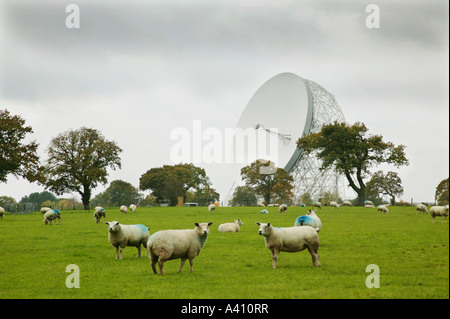 Le radiotélescope de Jodrell Bank en Angleterre Banque D'Images