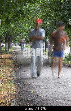 Les piétons à marcher le long de l'avenue bordée d'arbres Banque D'Images
