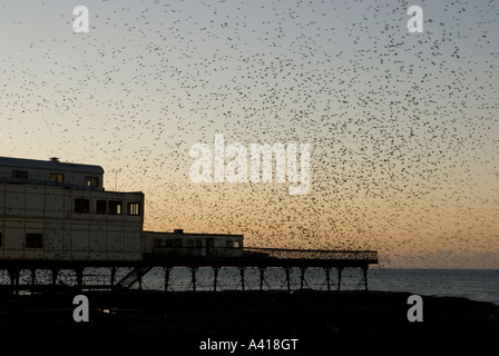 Les étoiles se rassemblent à la jetée d'Aberystwyth, au pays de Galles, au Royaume-Uni Banque D'Images