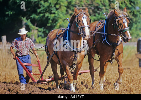 Concours international de labour et exposition rurale Banque D'Images