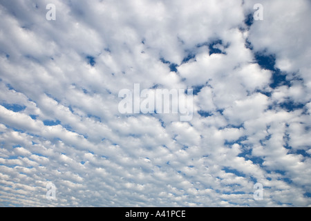 Les nuages blancs sur ciel bleu Banque D'Images