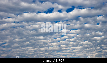 Les nuages blancs sur ciel bleu Banque D'Images