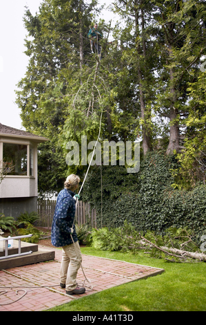 Femme à l'aide de corde à l'arbre guide top à la masse dans la cour résidentielle après que l'homme dans l'arbre n'a dépassé les cyprès Banque D'Images
