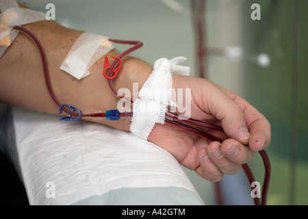 Au cours de son patient en dialyse le centre de dialyse dans l'hôpital Dominikus Banque D'Images