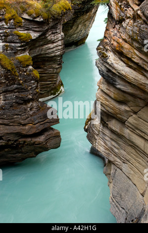 Le canyon de la rivière Athabasca, Jasper National Park, Alberta, Canada Banque D'Images