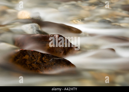 Des rochers et de se précipiter dans l'eau du ruisseau Mosquito, Banff National Park, Alberta, Canada Banque D'Images