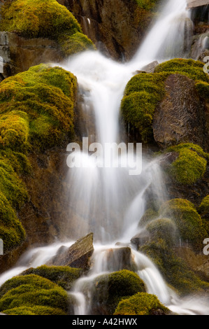 Cascade moussue, Banff National Park, Alberta, Canada Banque D'Images