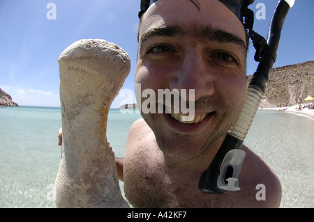 Jeune homme espagnol M. snorkeler-photographe avec son appareil photo et d'un rorqual à bosse osseuse vertèbre Espiri Banque D'Images