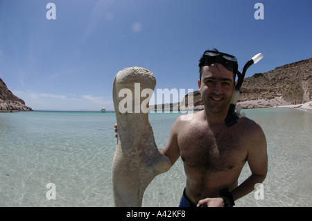 Jeune homme espagnol M. snorkeler-photographe avec son appareil photo et d'un rorqual à bosse osseuse vertèbre Espiri Banque D'Images