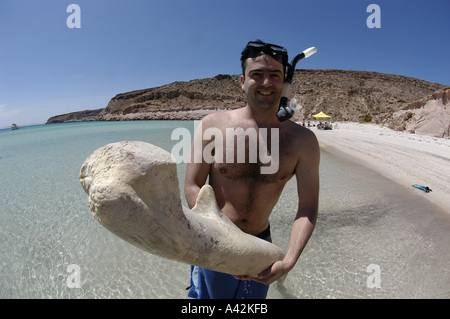 Jeune homme espagnol M. snorkeler-photographe avec son appareil photo et d'un rorqual à bosse osseuse vertèbre Espiri Banque D'Images