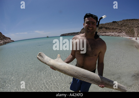 Jeune homme espagnol M. snorkeler-photographe avec son appareil photo et d'un rorqual à bosse osseuse vertèbre Espiri Banque D'Images