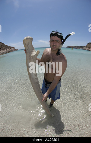 Jeune homme espagnol M. snorkeler-photographe avec son appareil photo et d'un rorqual à bosse osseuse vertèbre Espiri Banque D'Images