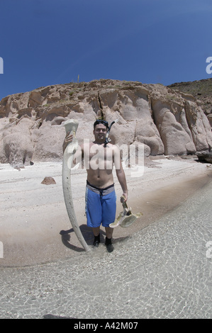 Jeune homme espagnol M. snorkeler-photographe avec son appareil photo et d'un rorqual à bosse osseuse vertèbre Espiri Banque D'Images